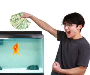 Michael Reeves goldfish: cała historia